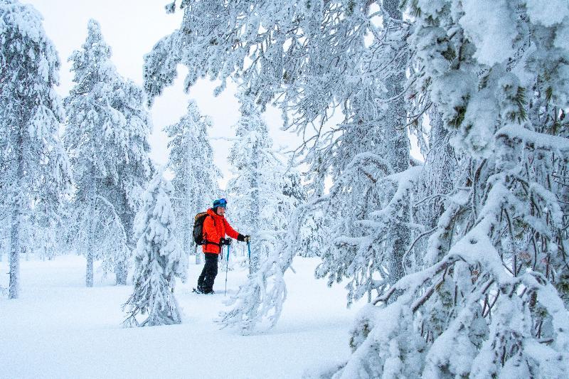 Suomu Chalets Suomutunturi Exteriör bild